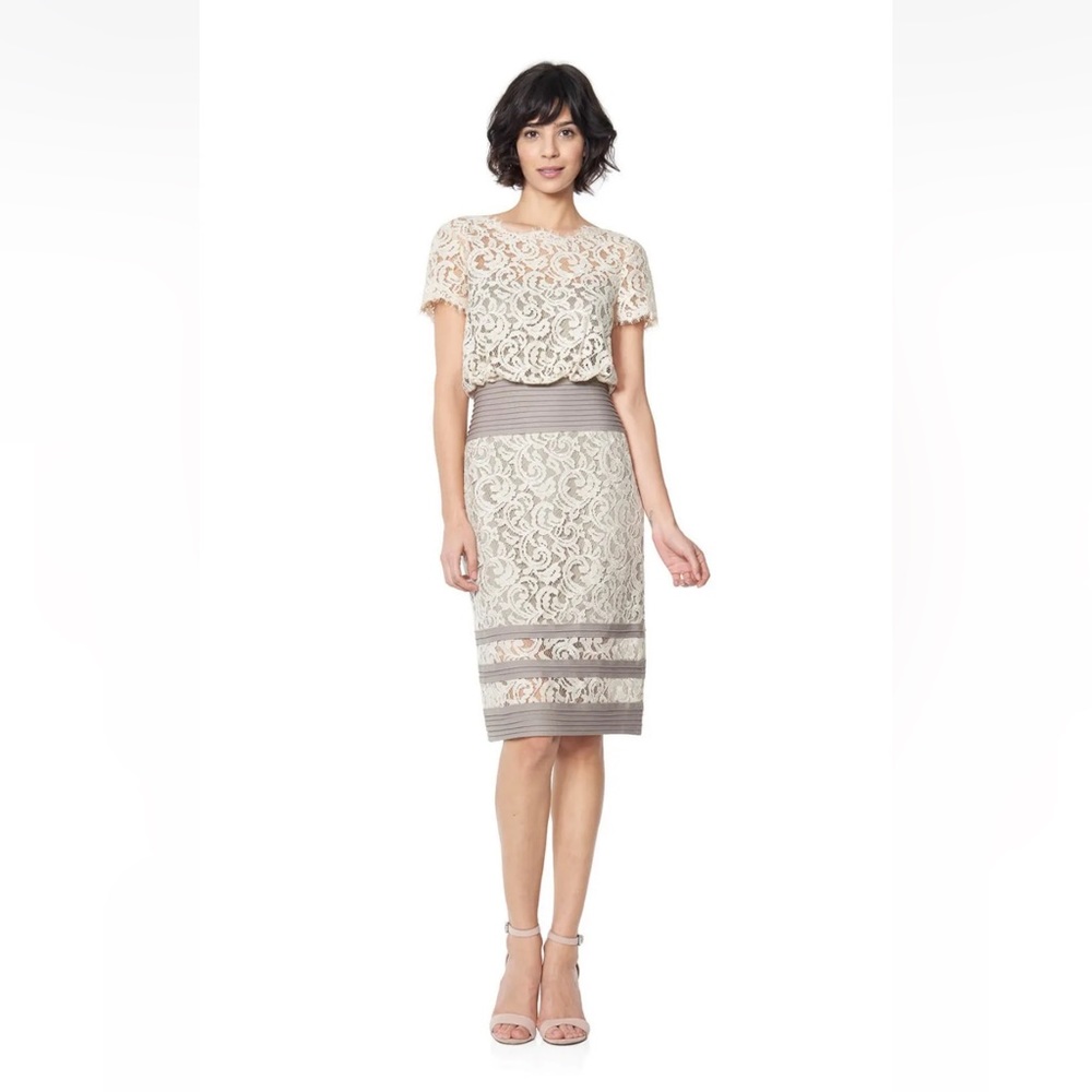Tadashi Shoji lace dress. Size 2 - Picture 9 of 10